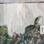 The Dinosauria, Second edition by David Weishampel, hardback. Image 2