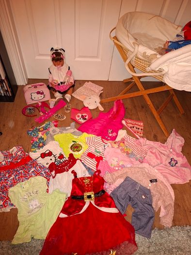 2 Reborn Baby Dolls+Moses basket+over 50 pieces of clothing and accessories, excellent condition