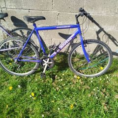 bikes