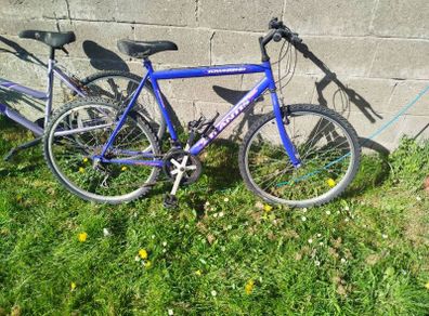 bikes