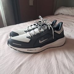 Nike Pegasus 41 goretex