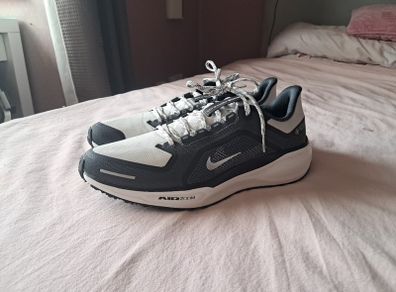 Nike Pegasus 41 goretex