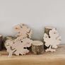 Wooden Wall Hooks Image 2