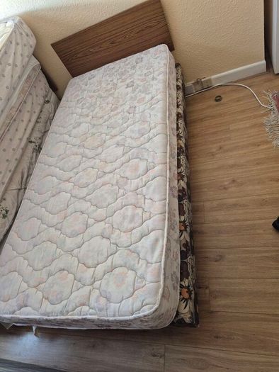 SIngle beds + Mattresses