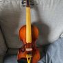 Fiddle new, 5string Image 7