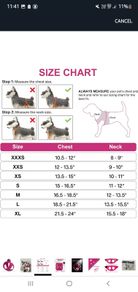 Dog Harness
