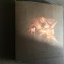Swans CD 2 albums Image 2