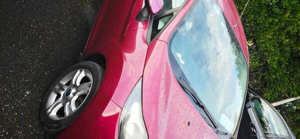 2009 Ford Fiesta