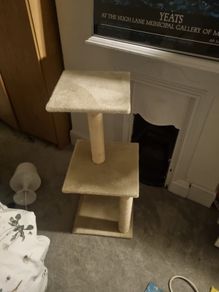 Cat Tower
