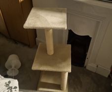 Cat Tower