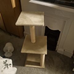 Cat Tower