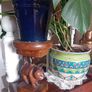 hardwood thai cat plant stand Image 5