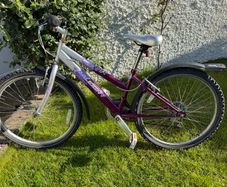 Raleigh 24" bike