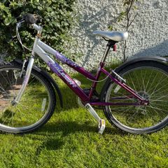 Raleigh 24" bike