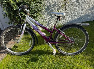 Raleigh 24" bike