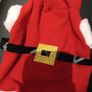 Santa dog coat small/medium dog Image 2