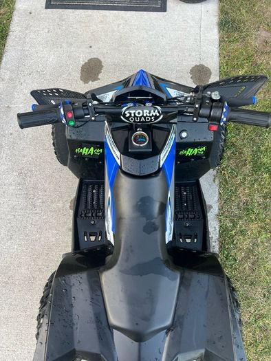 Renegade 1100w 48v electric quad