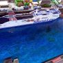 Stena Adventurer Stena Line Card Model Ferry Kit Image 6