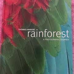 Rainforest by Thomas Marent - Stunning DK Photography Book