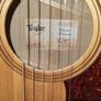 Taylor Gte Grand Theatre Urban Ash Acoustic Guitar Image 5