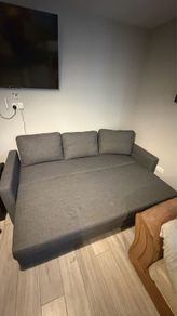 sofa/bed