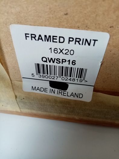 Framed Glass Maximilian Print