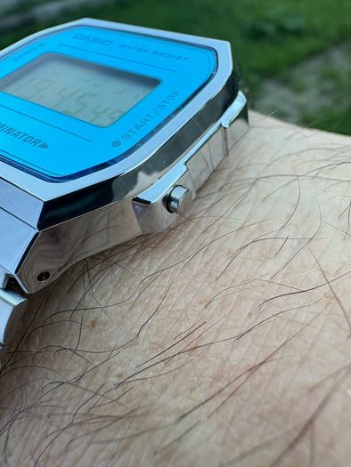 casio