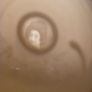 Eggshell Geisha Japanese Pottery Cups and Saucers Image 3