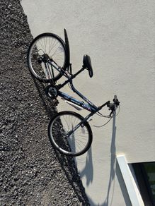 Apollo Kinx Girls bike