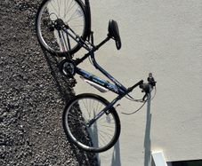 Apollo Kinx Girls bike
