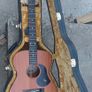 Maton EBW808 Blackwood Electro Acoustic Guitar with AP5 Pro pickup and Original  Maton Case Image 8