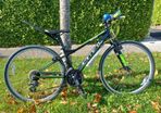 Carerra Abyss 26