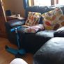 two seater leather sofa Image 8