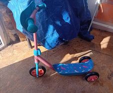 kids push trike