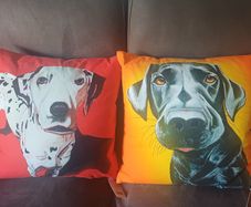 Eoin O'Connor cushions new with tags