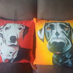 Eoin O'Connor cushions new with tags