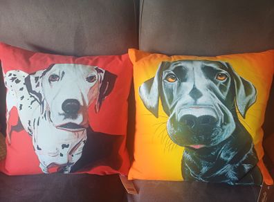 Eoin O'Connor cushions new with tags