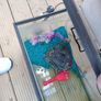fish Image 2