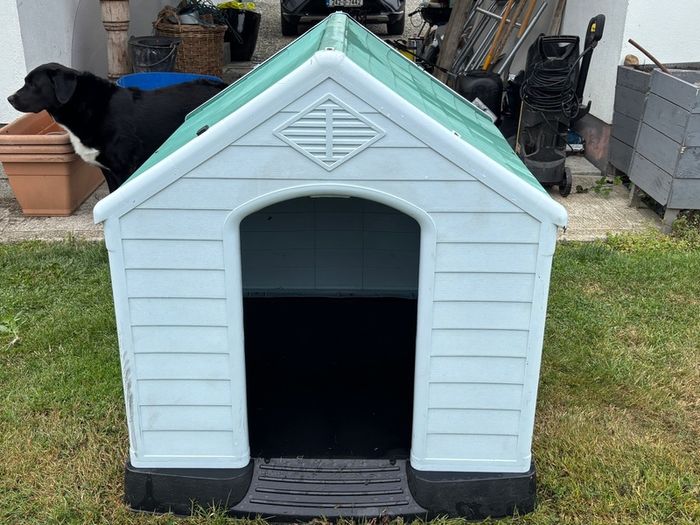 Dog Kennel