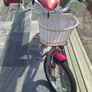 16 inch bike Image 2