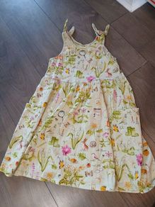 Next girls dress