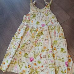 Next girls dress