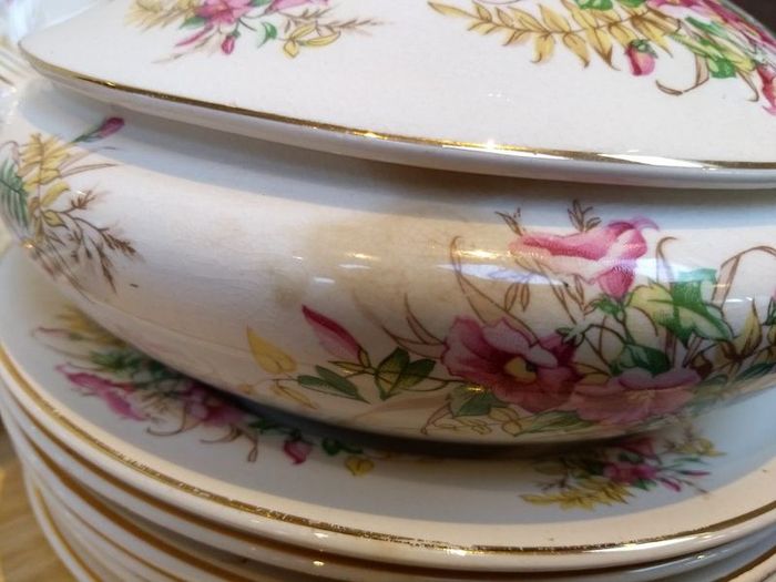 Beautiful 1950s Almost Complete Dinner Service by Arklow Pottery in Pattern Number 2508
