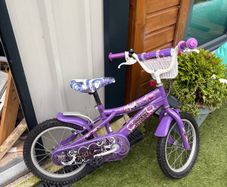 16" bike