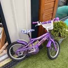 16" bike