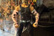 wwe elite custom Jeff hardy