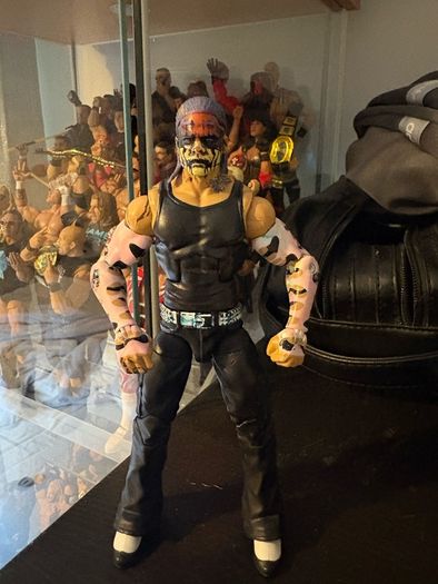 wwe elite custom Jeff hardy