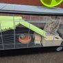 hamster cage and unopened food Image 4