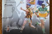 2005 Kilkenny v Offaly &amp; Wexford v Laois - GAA Leinster Senior Hurling Championship Semi Finals Programme