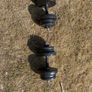Weights Dumbells Image 3